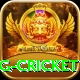 1st inning betting cricket Deluxe Pro v5.7.6
