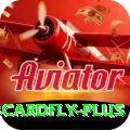 3cardfly Turbo v3.4.2