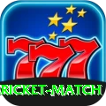 all cricket match VIP v3.6.7