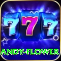 andy flower Deluxe v3.5.6