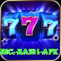 bbl big bash apk Apps (Tools & Injectors) Premium v2.7.6