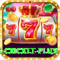 bet365 cricket Gaming Mega