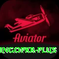 bingopkr Pro Max v3.8.1