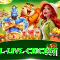 bpl live cricket Turbo v4.7.6