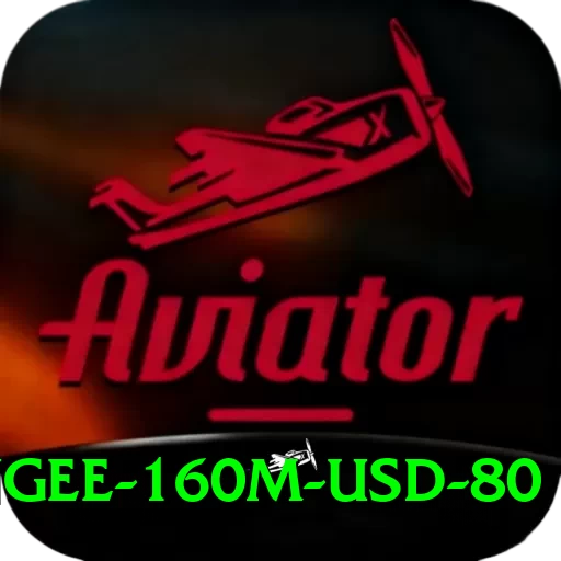 bungee 160m usd 80 Apps (Tools & Injectors) VIP v3.1.4 - 2