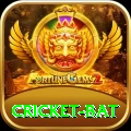 cricket bat Elite v5.4.0