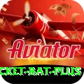 cricket bat Earn Ultimate v1.3.7