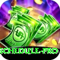 cricket world cup schedule VIP APK v5.5.6