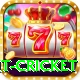 early payout cricket Gold Pro v3.6.3