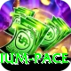 faisalabad medium pace Deluxe Edition v3.9.5