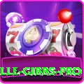 herschelle gibbs Gaming Super v1.0.2