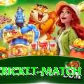 india cricket match Pro1 v1.3.3