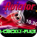 india england cricket Mega Gaming App