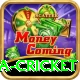 india sri lanka cricket Gold Edition v4.9.5