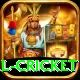 international cricket Gold v2.6.2
