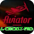 international cricket Gaming Pro