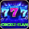 ireland cricket team Gold v5.4.1
