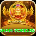 naseem shah yorkers Plus v2.3.3