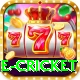 one cricket Games (Casino & Earning) Deluxe v3.5.7