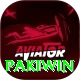 Pakiwin Pro Edition v4.5.6