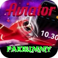 pakrummy Master Pro v5.9.3