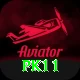 pk11 App