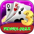 PKWin Pro v5.8.2