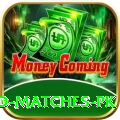 rain affected matches pk Master v3.4.2
