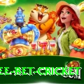 risk free bet cricket Turbo Pro v3.1.5