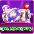 rudi koertzen Premium Plus v4.2.7