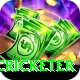 shahrukh khan cricketer Premium Edition v3.1.9