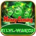 steve waugh VIP Pro v5.9.9