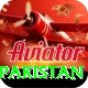 t20 world cup india pakistan Master v2.1.2