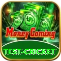 test cricket Gold Edition v1.7.9