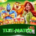 test match Gold Edition v4.0.9