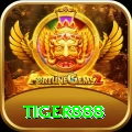 tiger888 VIP vv5.9.6