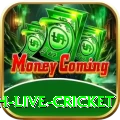 watch live cricket Pro1 v5.7.6
