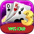 wc t20 Plus Edition v3.2.2