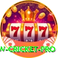 willow cricket VIP APK v2.8.1
